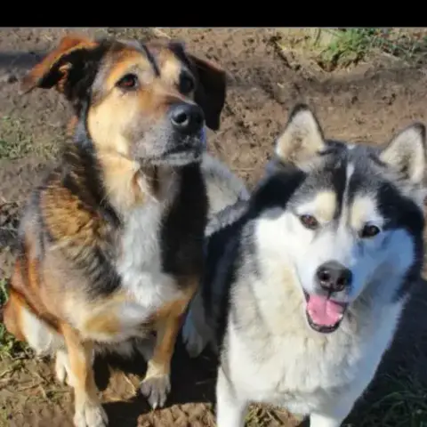 Miko Et Zoe