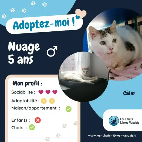 Nuage photo 3