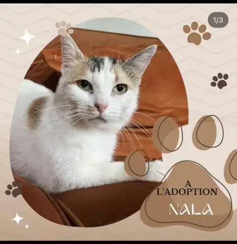 Nala