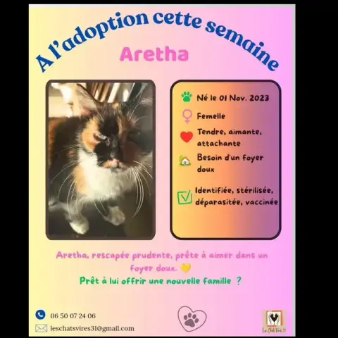 Aretha photo 2