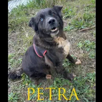 Petra