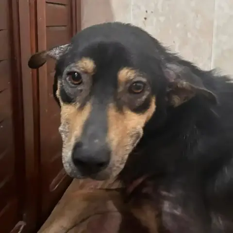 Blacky photo 3