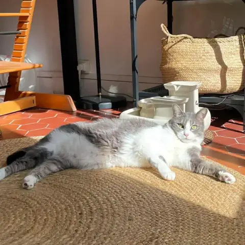Mélie photo 2