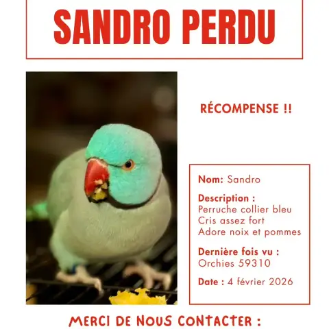 Sandro