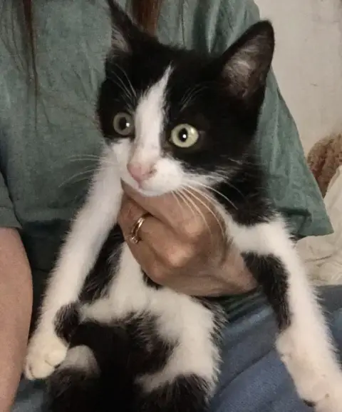 Leo