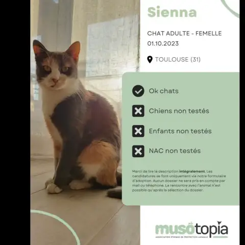 Sienna