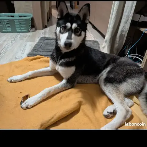 Vlad photo 2