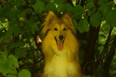 Katie photo 2