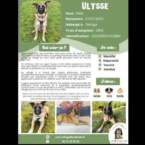 Ulysse