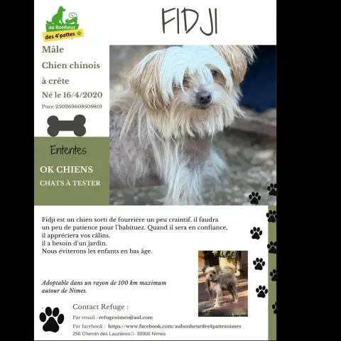 Fidji