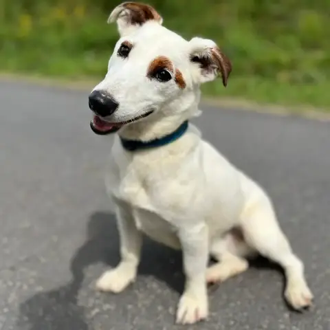 Ralph photo 2