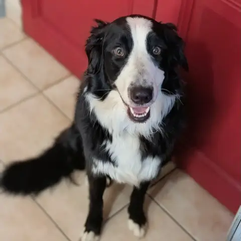 Ginny photo 3