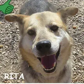 Rita 2