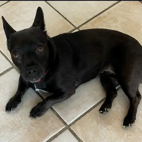 Maggy photo 3