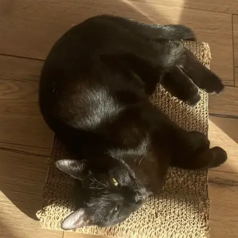 Gigi