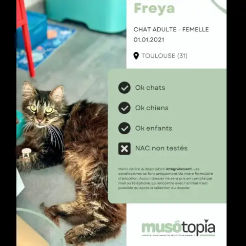 Freya