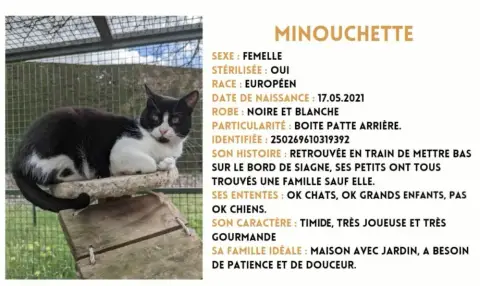 Minouchette