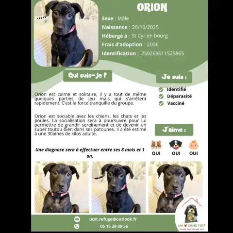 Orion