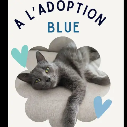 Blue