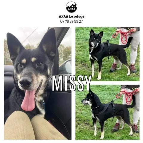 Missy
