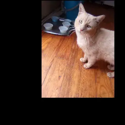 Milo