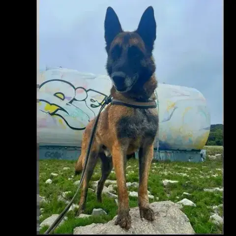 Rambo photo 2