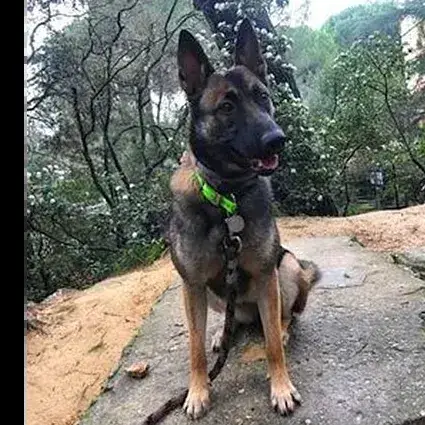 Kira photo 2
