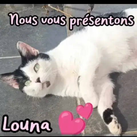 Louna