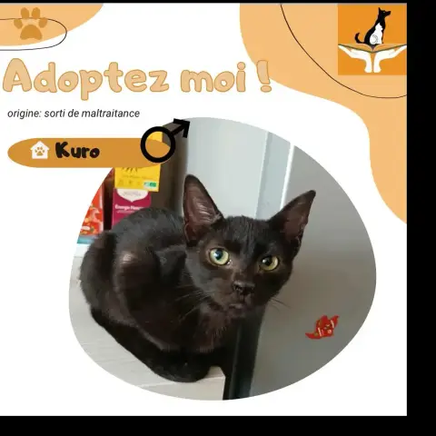 Kuro