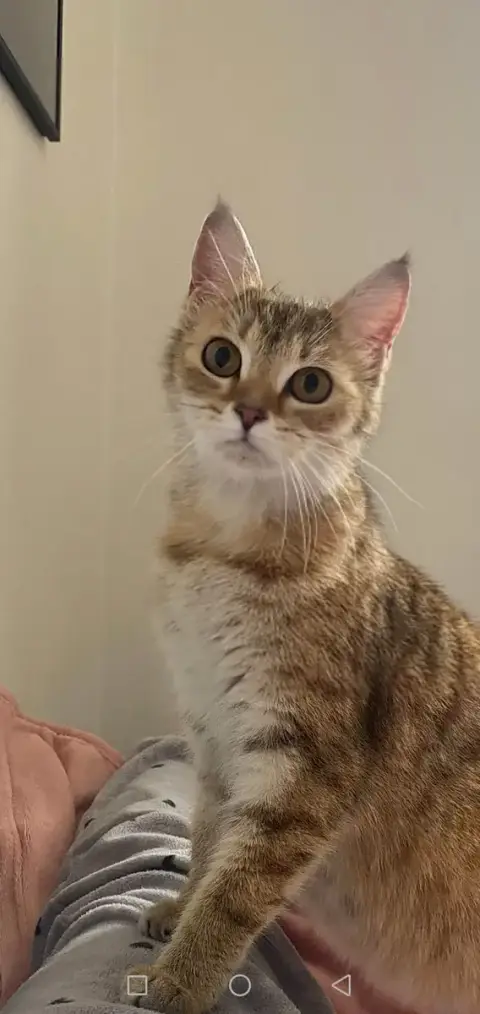 Molly