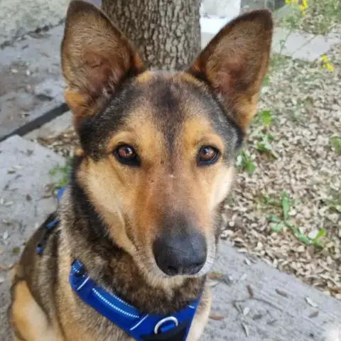 Tucker