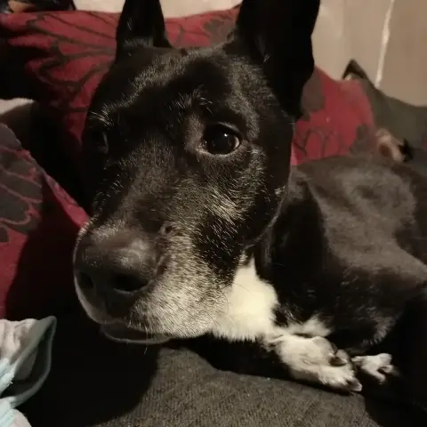 Crunch