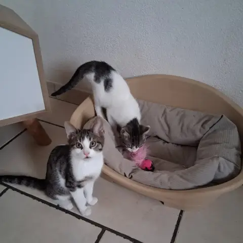 Ary Et Ambre photo 3