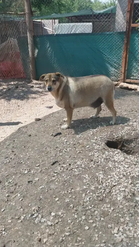 Tim