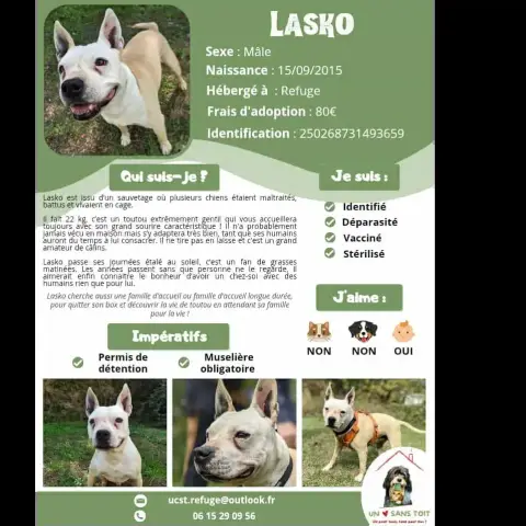 Lasko
