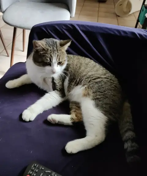 Norbert photo 3