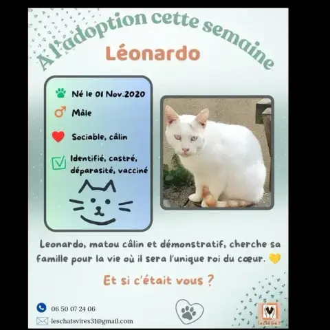 Léonardo photo 3