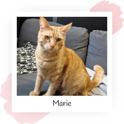 Marie