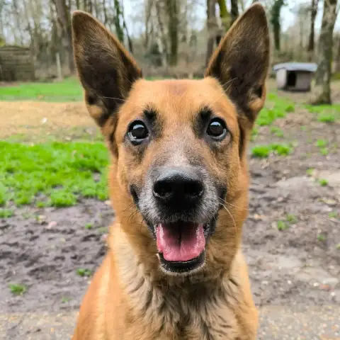 Leytho