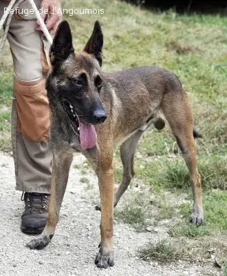 Loki photo 2