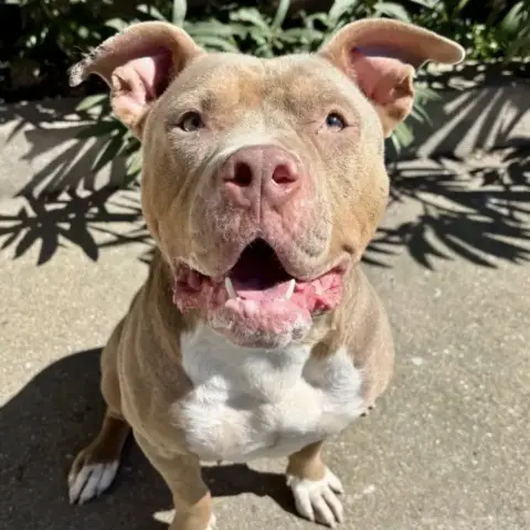 Bonnie