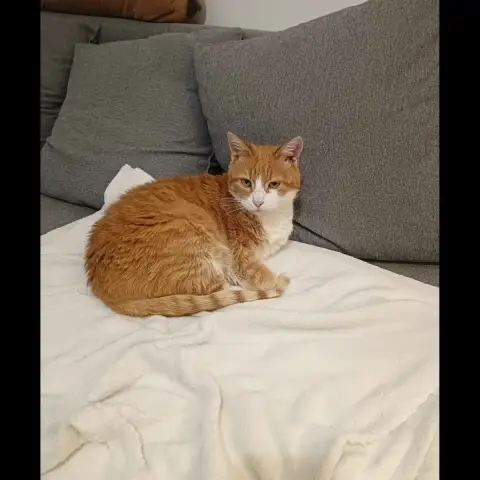 Babou photo 3
