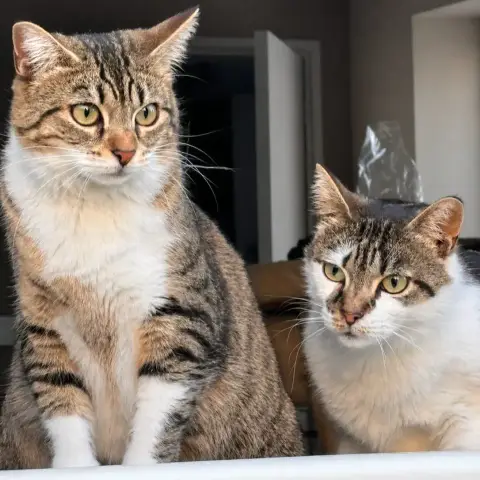 Twisty Et Lisa
