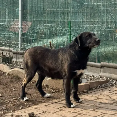 Hellen photo 2
