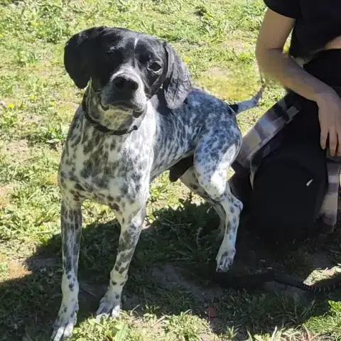 Jax photo 2