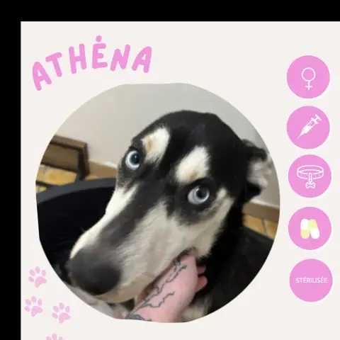 Athéna