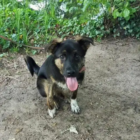 Kajira En France photo 3