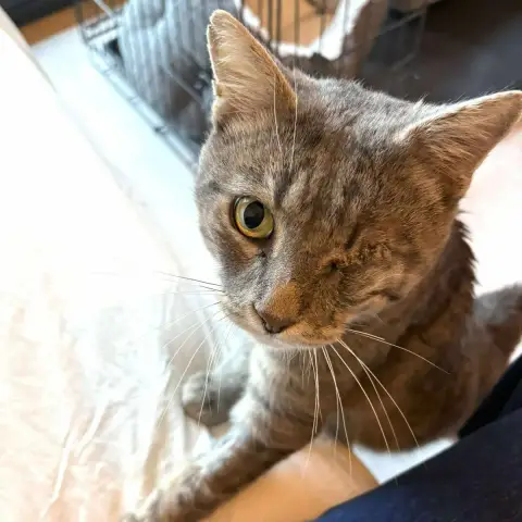 Pablo photo 3