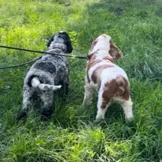 Lucky & Spot photo 2