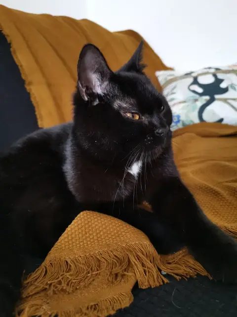 Kira